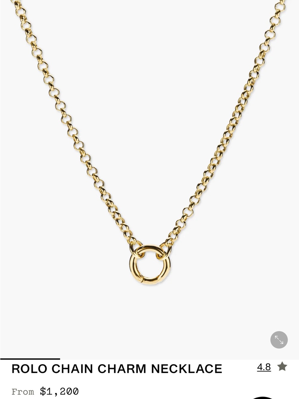 Mejuri 14k chain and charm holder